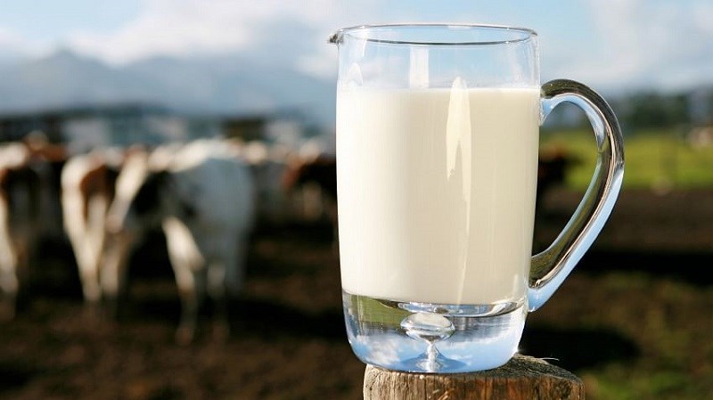 Sữa organic là gì?