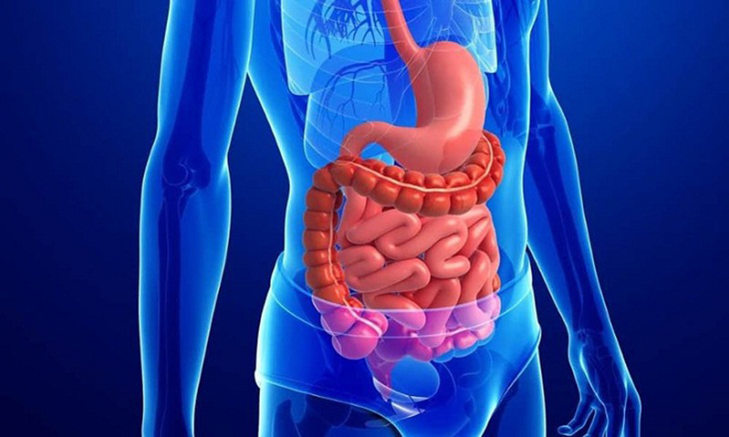 Cải thiện hoạt động của hệ tiêu hóa