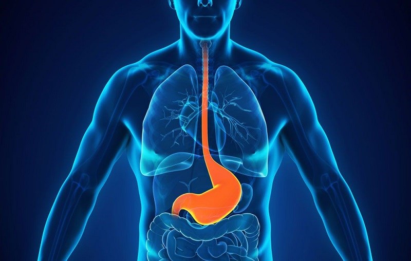 Giảm các vấn đề về tiêu hóa