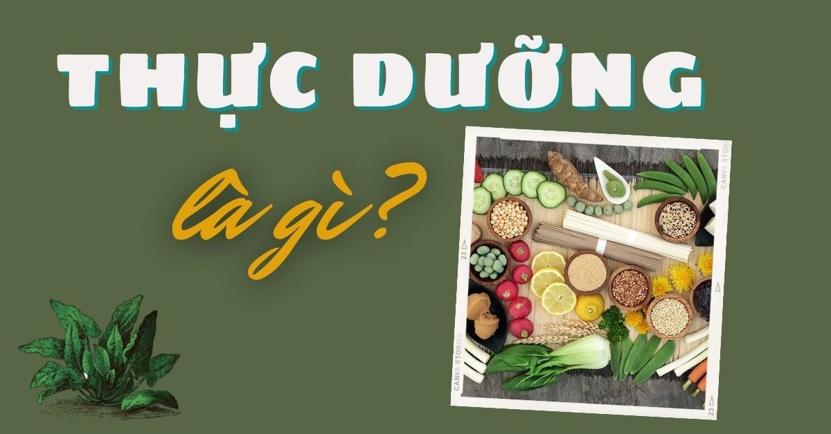 Thực dưỡng là gì? Cách ăn thực dưỡng, tác dụng của thực dưỡng