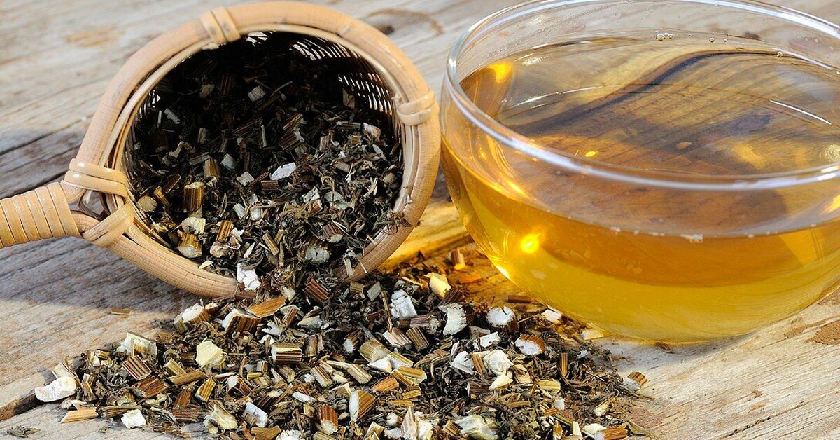 tác dụng của trà ngải cứu