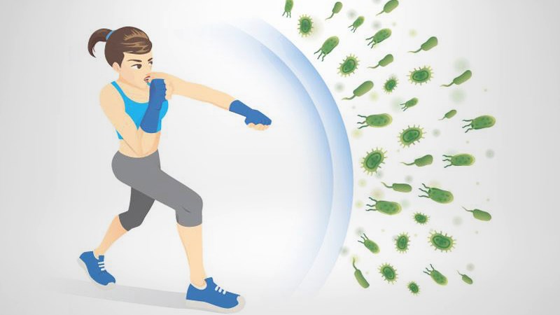Cải thiện hệ miễn dịch