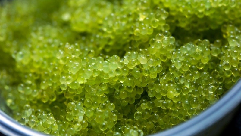 Trứng cá chuồn xanh