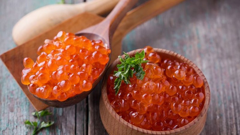 Cung cấp protein chất lượng cao