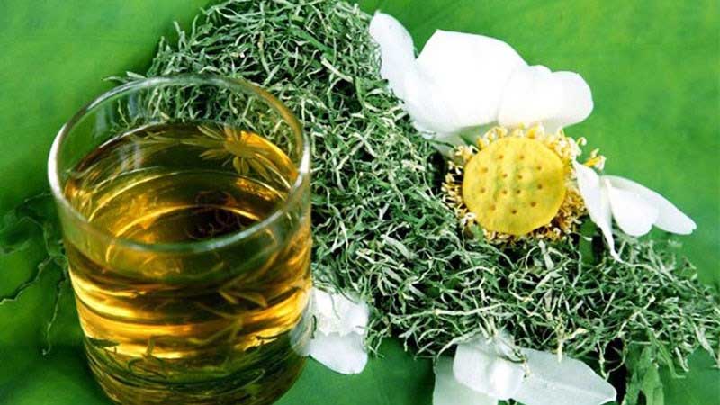 Lá sen giàu chất chống oxy hoá