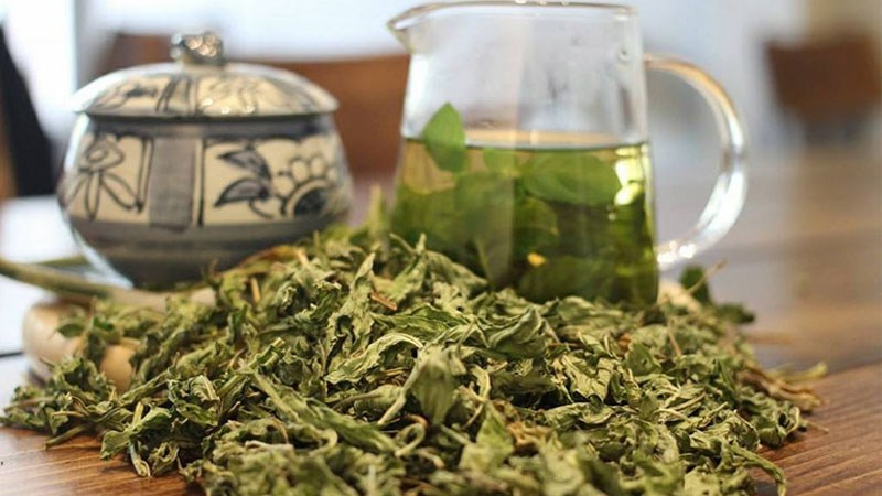 Lá sen chống xuất huyết máu