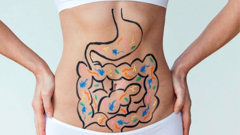 Uống lá sen có tác dụng hỗ trợ tiêu hóa
