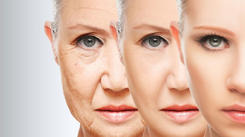 Cung cấp chất chống oxy hóa cho cơ thể
