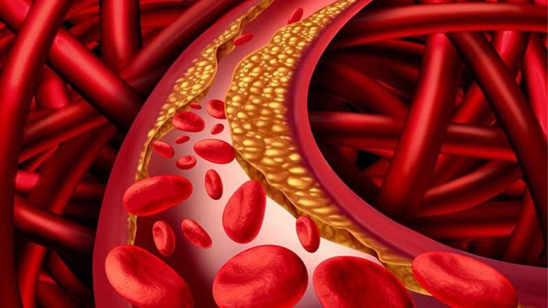 Có thể làm giảm lượng cholesterol
