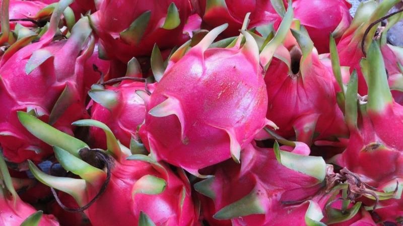 Thành phần dinh dưỡng có trong quả thanh long