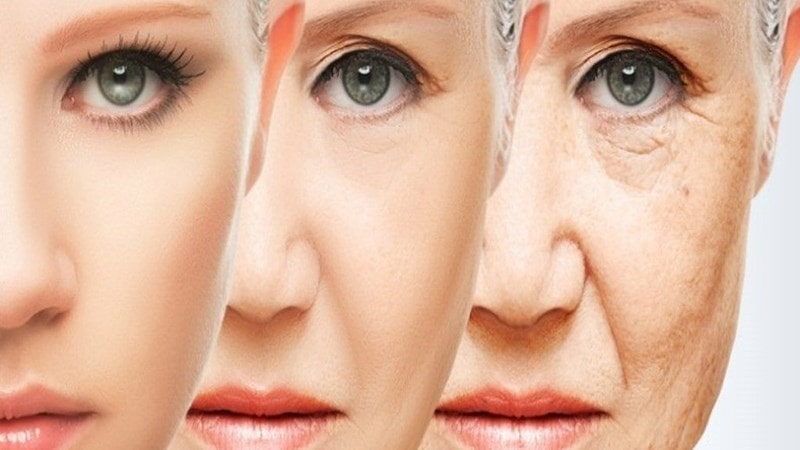 Giúp chống lại các bệnh mãn tính