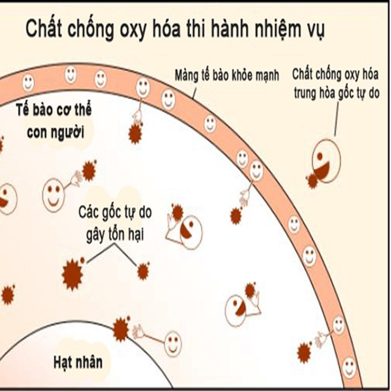 Bảy tác dụng tuyệt vời của vỏ chanh