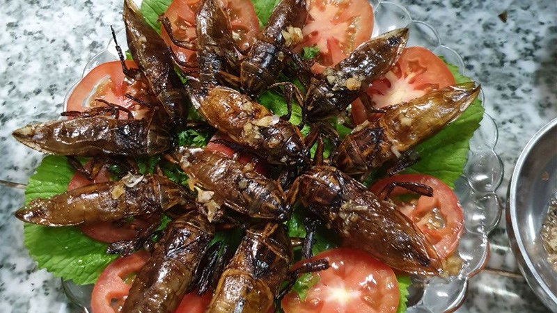 Cà cuống chiên giòn