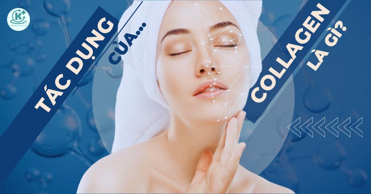 tác dụng của collagen