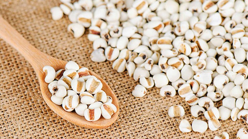 Đặc điểm của hạt bo bo