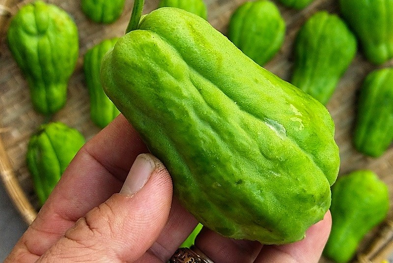 Chứa các chất chống oxy hoá