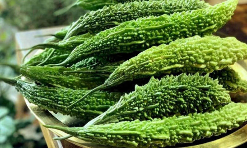 đặc điểm của mướp đắng