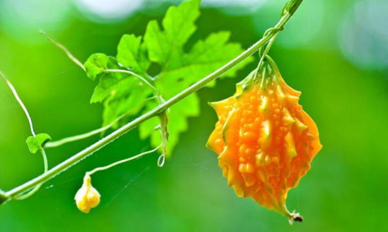 Đang mắc phải một số bệnh lý khác
