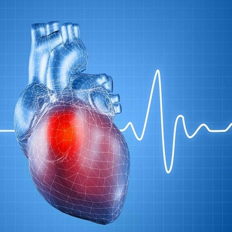 Hỗ trợ điều trị bệnh huyết áp và ổn định nhịp tim