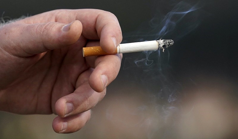 Quả đào có thể ngăn ngừa chất độc nicotine