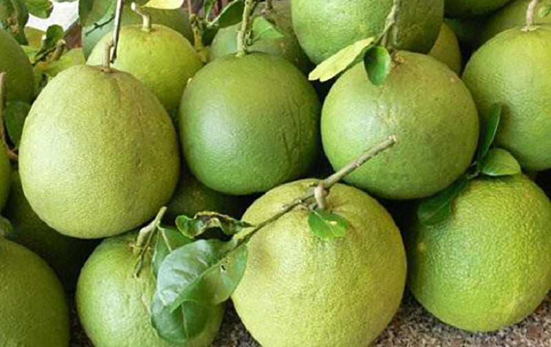 Cách chọn bưởi ngon