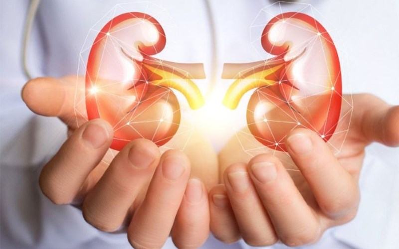 Chanh hỗ trợ ngăn ngừa sỏi thận