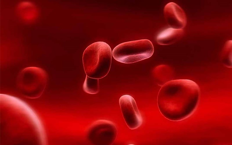 Chanh giúp bảo vệ và chống lại bệnh thiếu máu