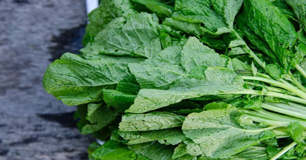 Tác dụng của rau cải xanh