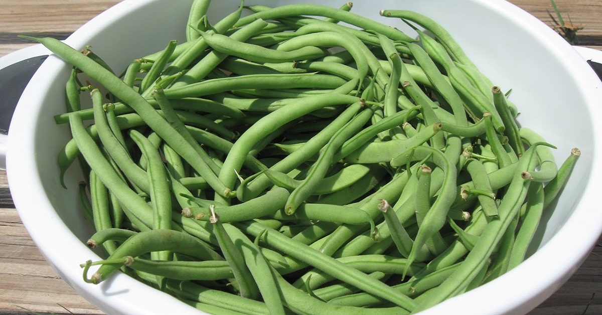 Tác dụng của đậu que