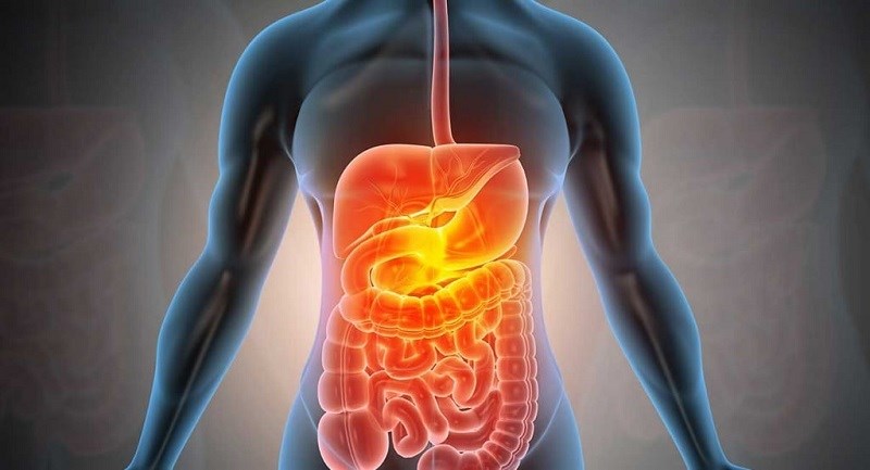 Bông cải xanh hỗ trợ tiêu hoá
