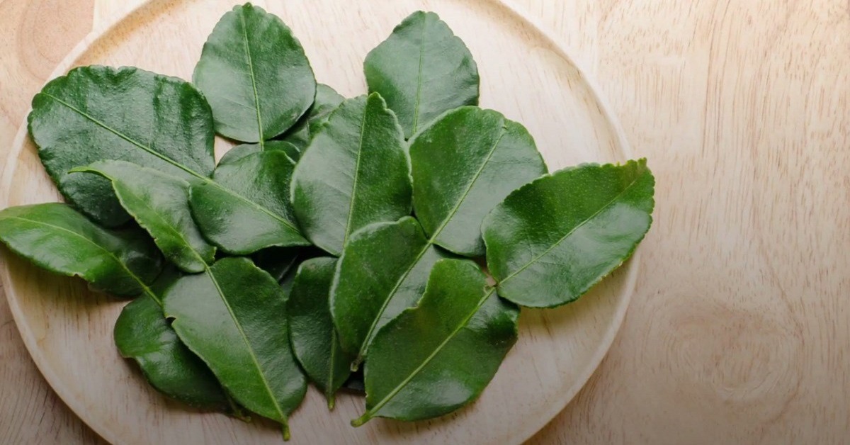 Lá chanh có tác dụng gì
