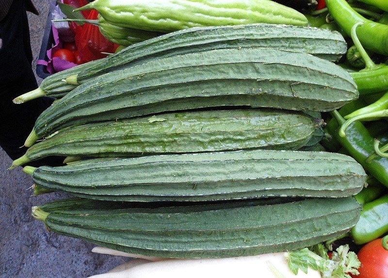Mướp bao nhiêu calo?