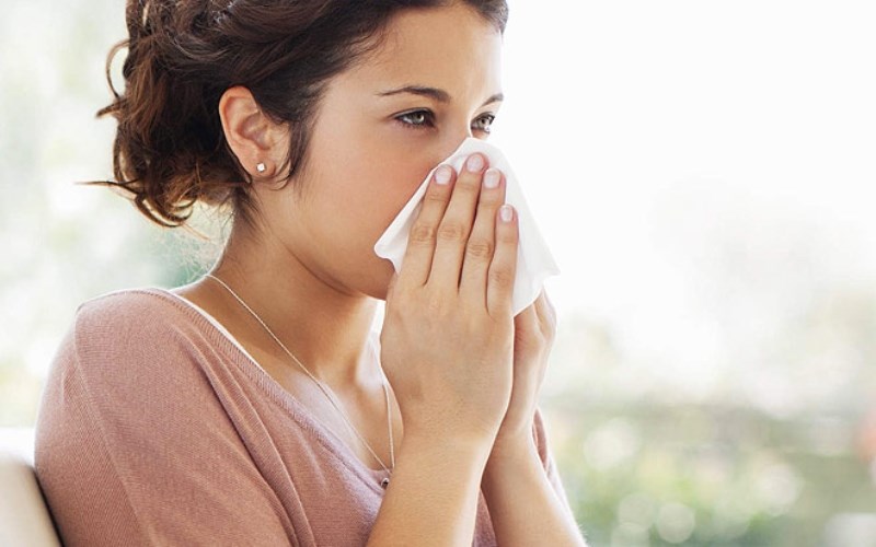 Hỗ trợ điều trị viêm mũi dị ứng