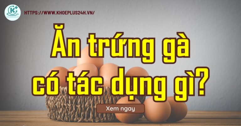 Ăn trứng gà có tác dụng gì? Ăn nhiều có tốt không?