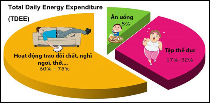 Công thức TDEE