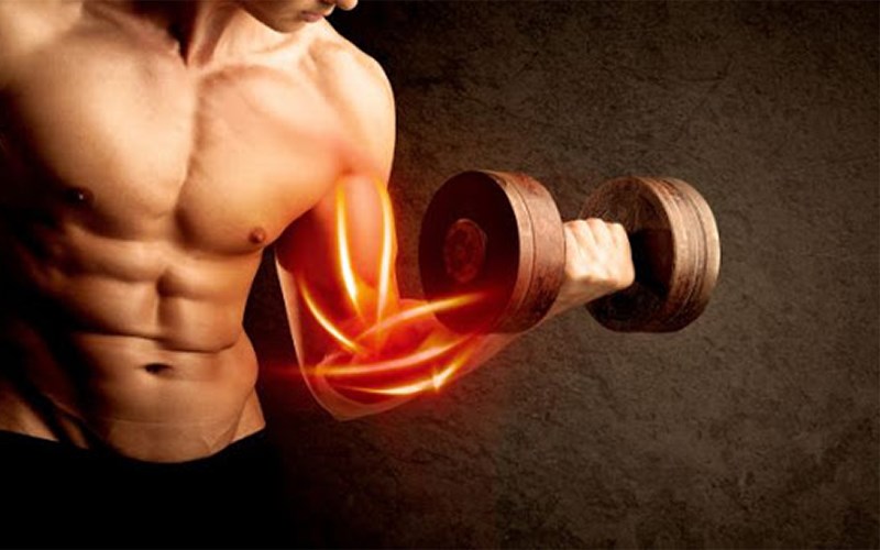 Tăng cường khối lượng cơ bắp và sức khỏe xương