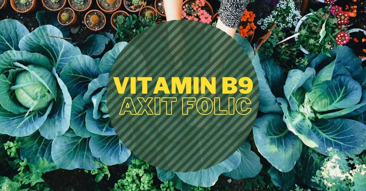 Vitamin B9 - axit folic là gì? Tác dụng của axit folic, cách uống đúng cách