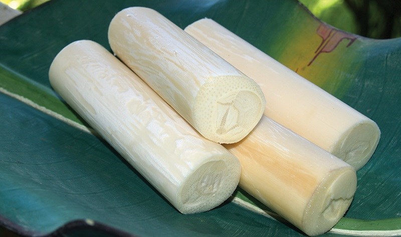 Tâm cọ giàu chất sắt cho người ăn chay
