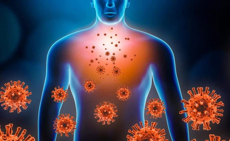 Hạt bí tăng cường chức năng miễn dịch