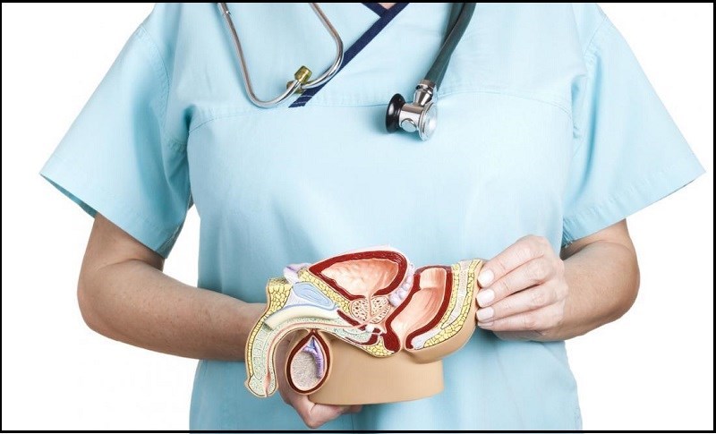 Hạt bí cải thiện sức khỏe tuyến tiền liệt và bàng quang