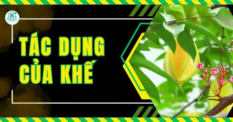 tac-dung-cua-qua-khe-cho-suc-khoe-thumb