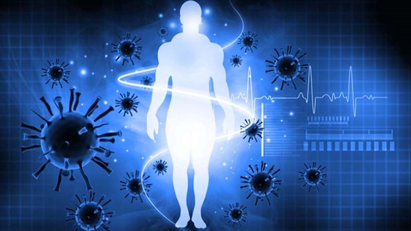 Quả quất tăng cường sự miễn dịch