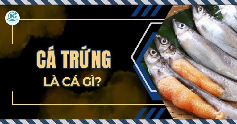 ca-trung-la-ca-gi-ca-trung-song-o-dau-tac-dung-cach-che-bien-gia-thanh-thumbnail