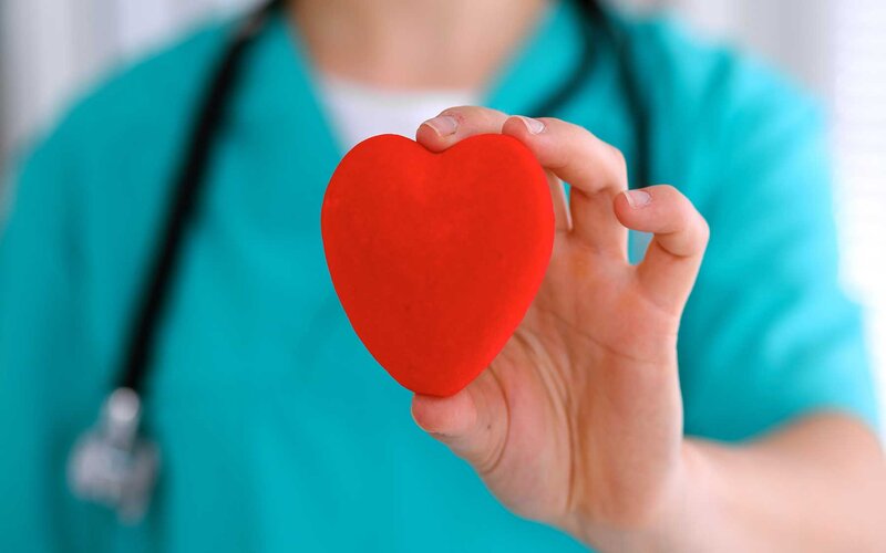 Có hệ tim mạch khỏe mạnh