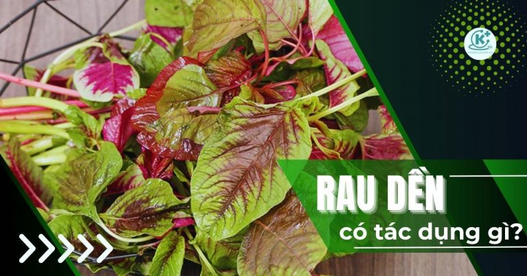 rau dền có tác dụng gì