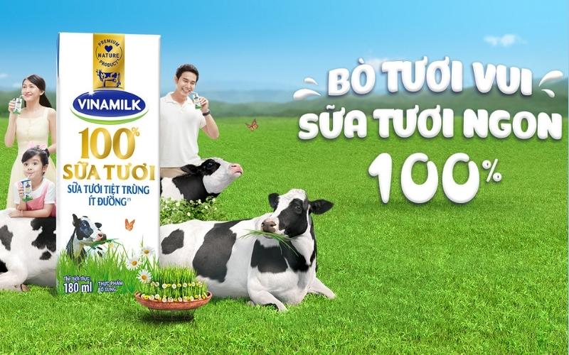 Sữa tươi tiệt trùng Vinamilk