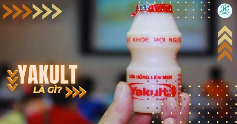 yakult là gì