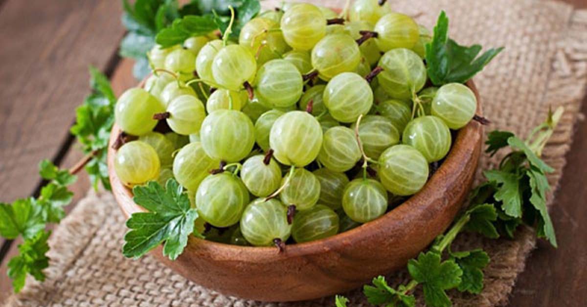 6 tác dụng của nước ép amla - nước ép lý gai đối với sức khỏe