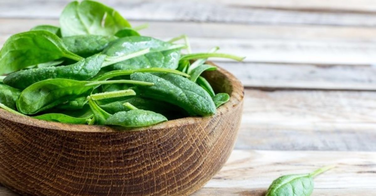 Tác dụng của rau chân vịt