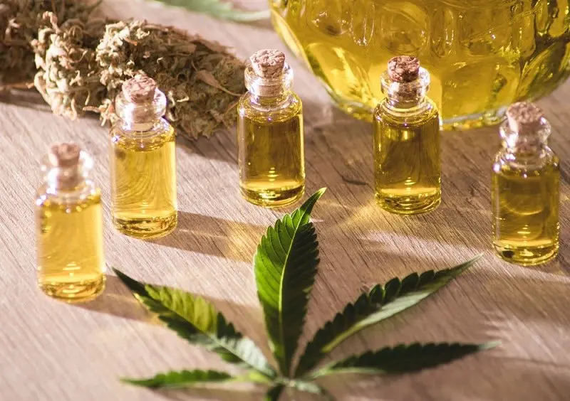 Dầu cây rum - safflower oil là gì?
